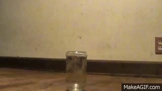 1 guy 1 jar gif|One guy, one jar .